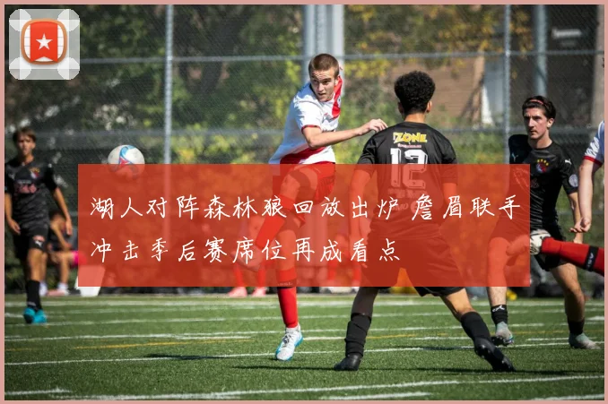 湖人对阵森林狼回放出炉 詹眉联手冲击季后赛席位再成看点