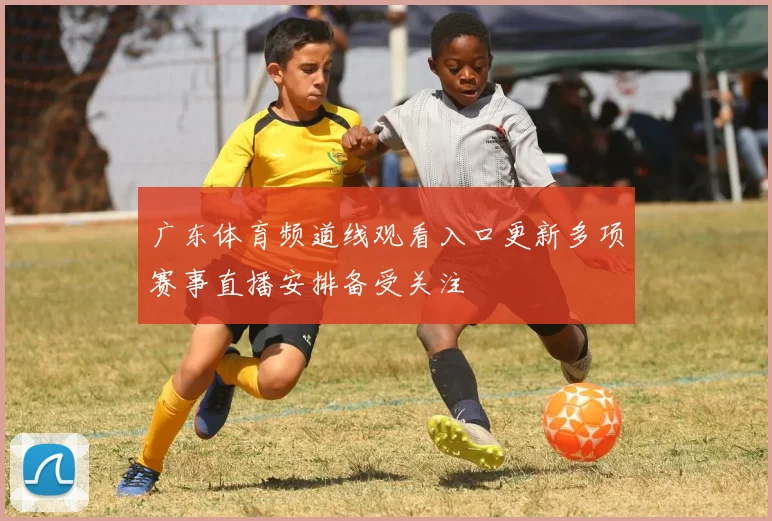 广东体育频道线观看入口更新多项赛事直播安排备受关注